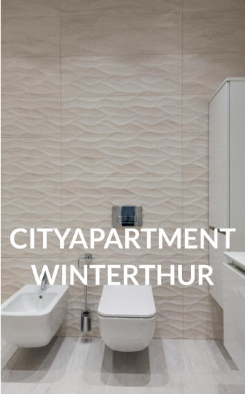 CITYAPARTMENTWINTERTHUR